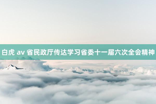 白虎 av 省民政厅传达学习省委十一届六次全会精神