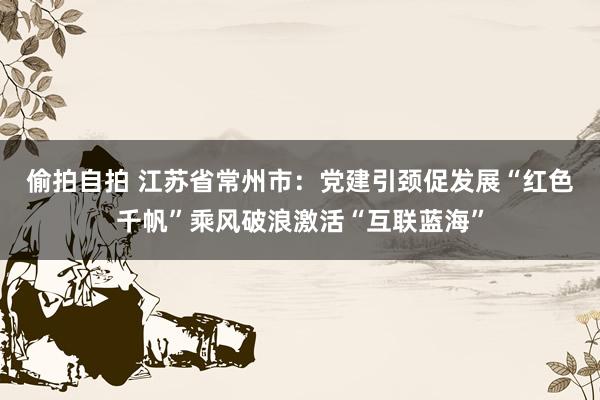 偷拍自拍 江苏省常州市：党建引颈促发展　“红色千帆”乘风破浪激活“互联蓝海”