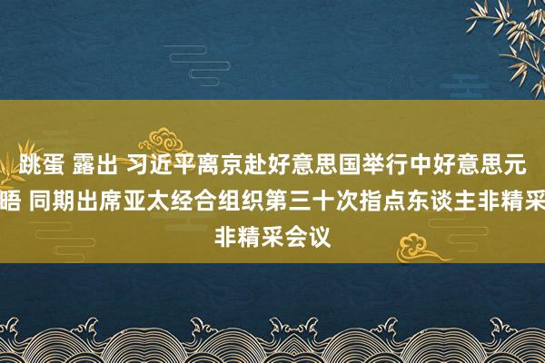 跳蛋 露出 习近平离京赴好意思国举行中好意思元首会晤 同期出席亚太经合组织第三十次指点东谈主非精采会议