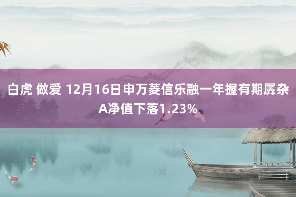 白虎 做爱 12月16日申万菱信乐融一年握有期羼杂A净值下落1.23%