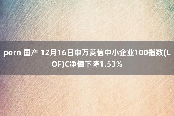 porn 国产 12月16日申万菱信中小企业100指数(LOF)C净值下降1.53%