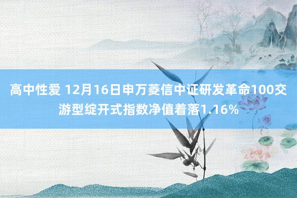 高中性爱 12月16日申万菱信中证研发革命100交游型绽开式指数净值着落1.16%